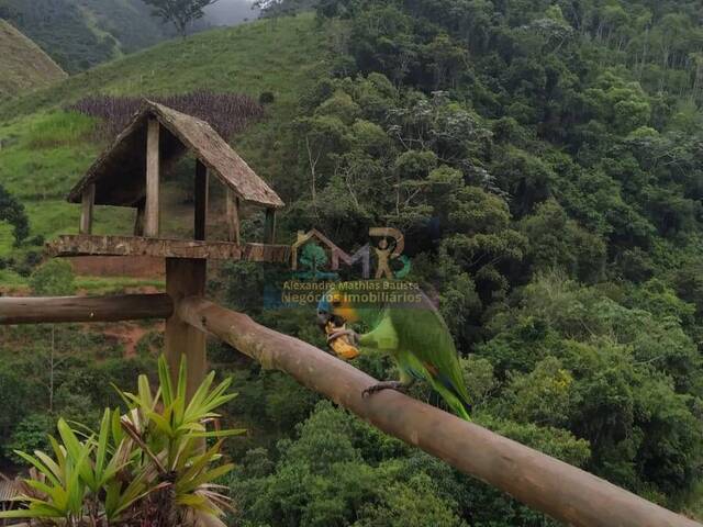 Sítio para Venda em Natividade da Serra - 5